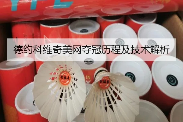 德约科维奇美网夺冠历程及技术解析